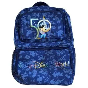 Disney | Bags | Like New Walt Disney World 5th  display picture 2
